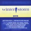Various Artists - Midwest Highland Arts Fund: Winter Storm 2010